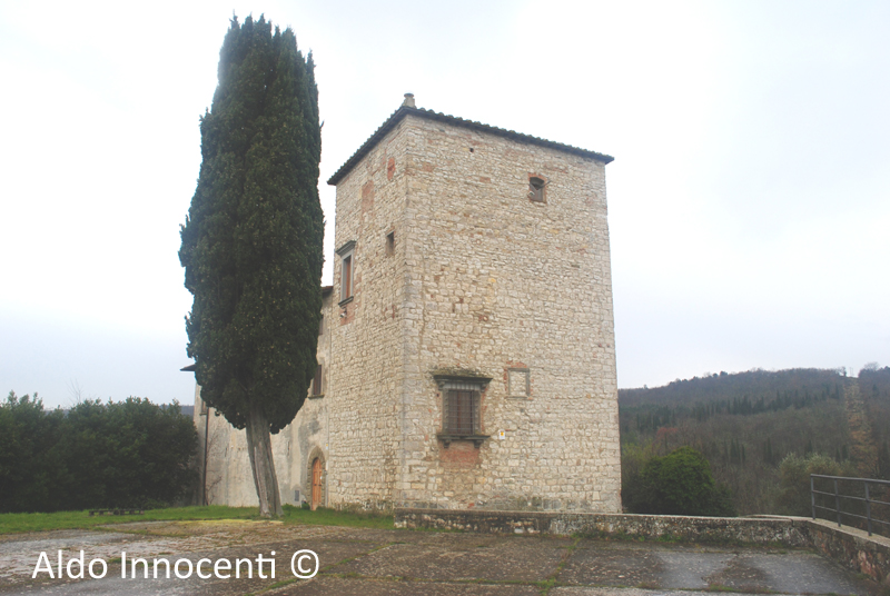 TORRE DI LUCIANA 8' IMMAGINE